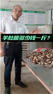 羊肚菌多少钱一斤？