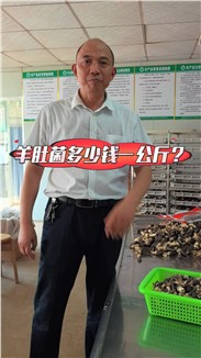 羊肚菌多少钱一公斤？